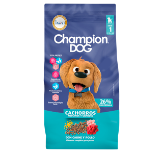 Champion Dog Cachorro