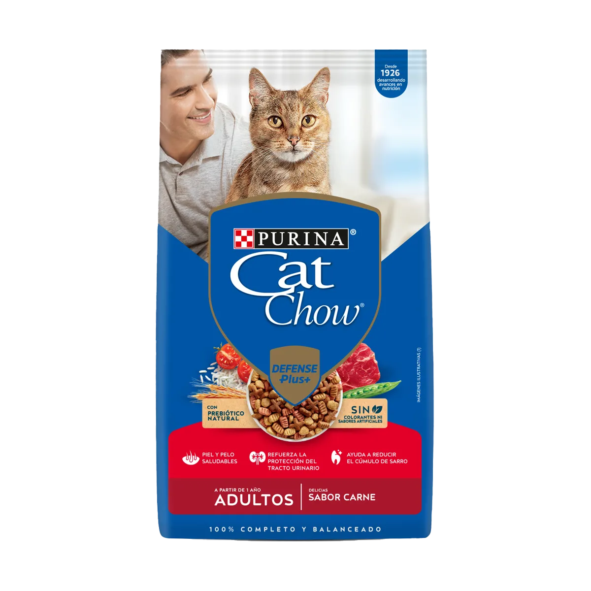 Cat Chow Adulto Carne