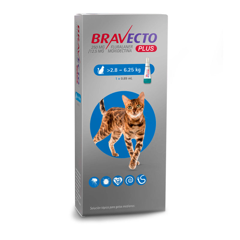 Pipeta Bravecto gato >2,8 a 6,25kg