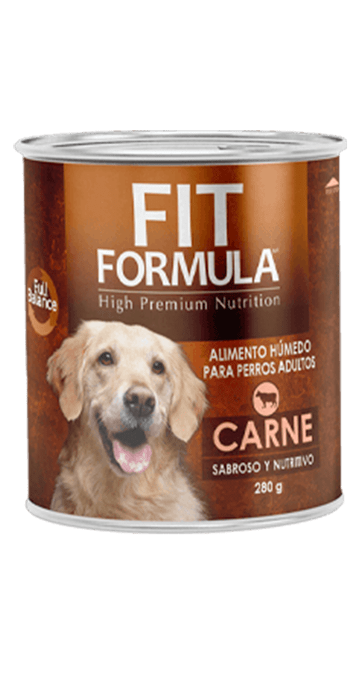 Lata Fit Formula Adulto Carne 280 grs