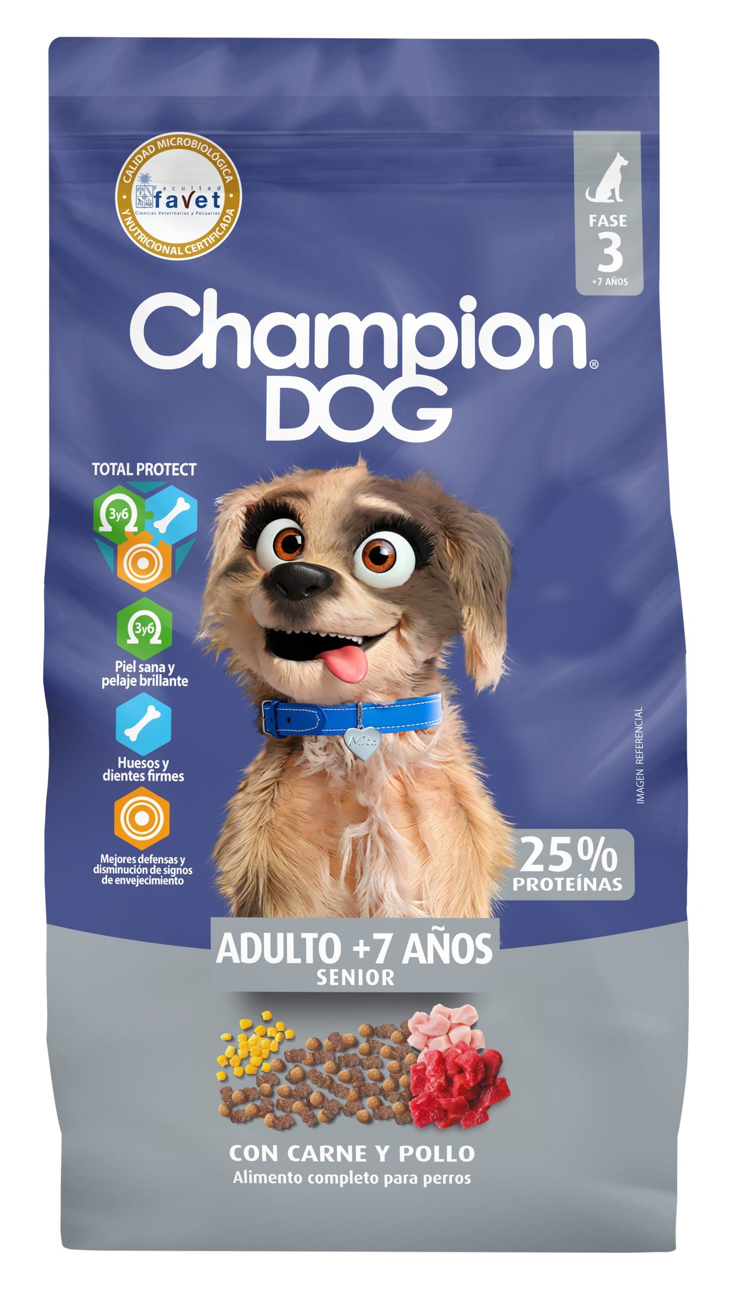 Champion Dog Senior