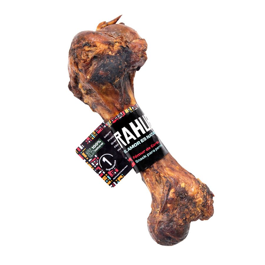 Fémur Cerdo Rahue