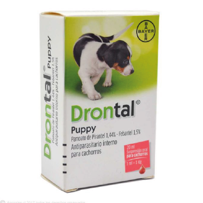 Drontal Puppy