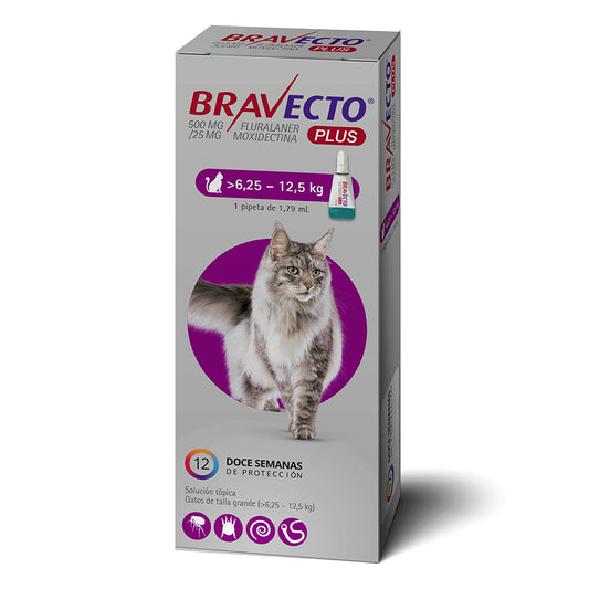Pipeta Bravecto gato >6,25 a 12,5kg
