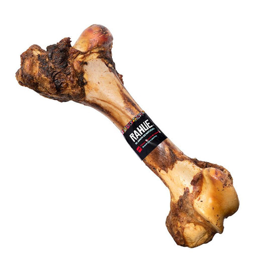 Fémur Vacuno Gigante Rahue